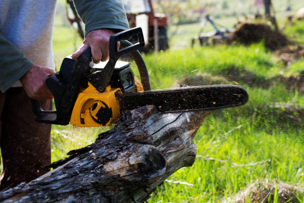 Best Weed Control  in Moonachie, NJ